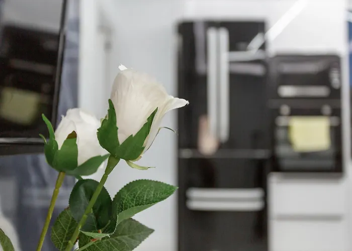 Ruvi Appartamento San Bartolomé