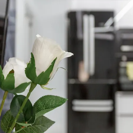 Ruvi Appartement San Bartolomé